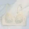 Cómodo Transpirable Tirar Hacia Arriba Sexual Ropa Interior Espalda Sin Aro de Acero Ajustable Pechos Paramamarios Pecho Pequeño Sujetador Push-up