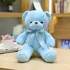 Nuevo Oso de Diez Colores Muñeco de Peluche Temático de Boda con Bufanda de Cinta y Pajarita