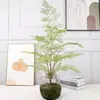 Arame de Ferro Grama Sala de Estar Interna Varanda Planta Verde Artificial Samambaia Planta Falsa Loja Decoração de Vitrine Ornamento Doméstico
