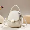 Bolsa de Ombro Transversal de Luxo Leve de Alta Qualidade 2026 Nova Bolsa de Mão Minimalista Retrô Bolsa Feminina de Temperamento para o Trabalho