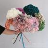 [Anna solteira] Hortênsia Eterna Anna Ramo Inteiro Hortênsia Flor Organizar Flor Fotografia Adereços Decoração