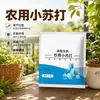 Bicarbonato de Sódio Agrícola Controle de Pragas Aumento de Rendimento de Vegetais Mudas Fortes de Árvores Frutíferas Plantio de Vegetais Esterilização Resíduo de Pesticida Controle de Insetos Pragas de Culturas