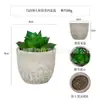 Planta en Maceta Artificial Mini Transfronteriza Hecha a Medida Adornos de Escritorio Bonsái Suculento de Simulación Flor Artificial Planta Verde Pulpa Suculenta Planta en Maceta
