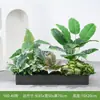[Serie Y80] Decoración de Partición de Planta Verde Simulada Macetero Maceta Valla Paisajística de Plástico Biónico Diseño