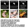 Electrolitos Transfronterizos para Reptiles, para Geckos y Lagartijas, Adecuado para Tortugas y Serpientes, para Aliviar el Estrés, Suministros Intestinales para Reptiles y Suplementos Nutricionales