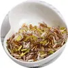 2x Cuentas de tubo recto rellenas de plata de 6 mm, cuentas de arroz de vidrio, hechas a mano, para pulseras de cuentas sueltas, materiales para accesorios de ropa
