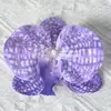 Cabezas de flores artificiales de orquídea mariposa, materiales para flores de pared, materiales para pasadores y accesorios para el cabello hechos a mano para DIY, piezas de flores y accesorios de pétalos para decoración de bodas