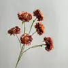 Flores Artificiales: Loto de 6 Cabezas, Peonía, Decoración de Boda, Arreglos Florales para Salones de Boda, Fondos para Fotografía, Flores Artificiales, Venta al por Mayor desde el Fabricante
