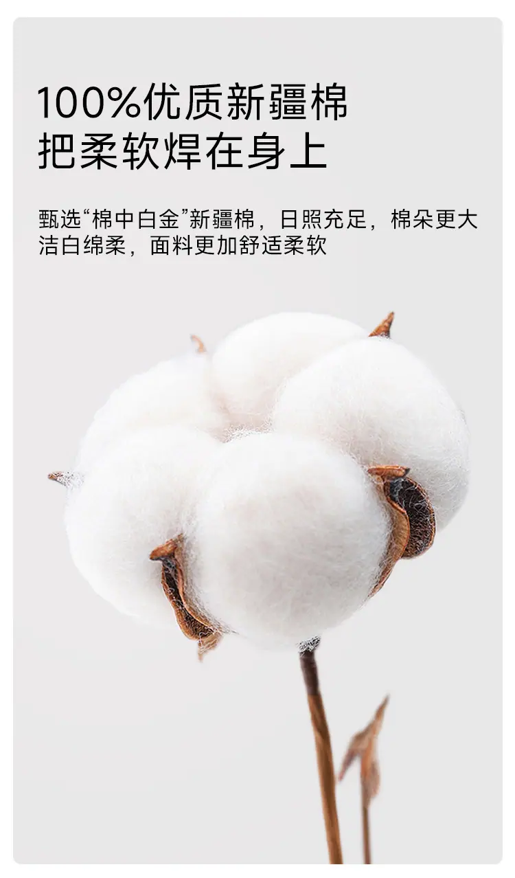 被罩_06.jpg