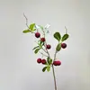 Planta artificial da árvore de murta, ramos de murta, frutos de murta, micro paisagem de planta verde, decoração de casa decorativa, arranjo de flores
