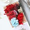 [Kit de Materiales para Repujado A5] Flores Secas Flores Preservadas Marco de Fotos Kit de Materiales para Repujado Materiales Florales DIY Vela Aromática Flores Secas