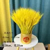 Ramo de Flores Secas de Espiga de Trigo Natural, Cesta de Flores de Cebada para Ceremonia de Apertura Decoración, Arreglo Floral Pastoral para Sala de Estar Decoración, Accesorio para Fotografía
