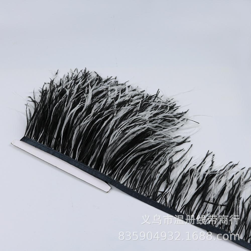 white and black ostrich feathe