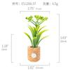 Amazon Planta Artificial Suculenta Imán de Corcho Imán de Refrigerador Decoración del Hogar Estilo Pastoral Suculenta Creativa Atracción Magnética