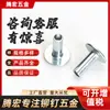 Remache de cabeza redonda plana forjado en frío tornillo avellanado sólido no estándar conector no estándar Acero inoxidable Remache de núcleo semihueco