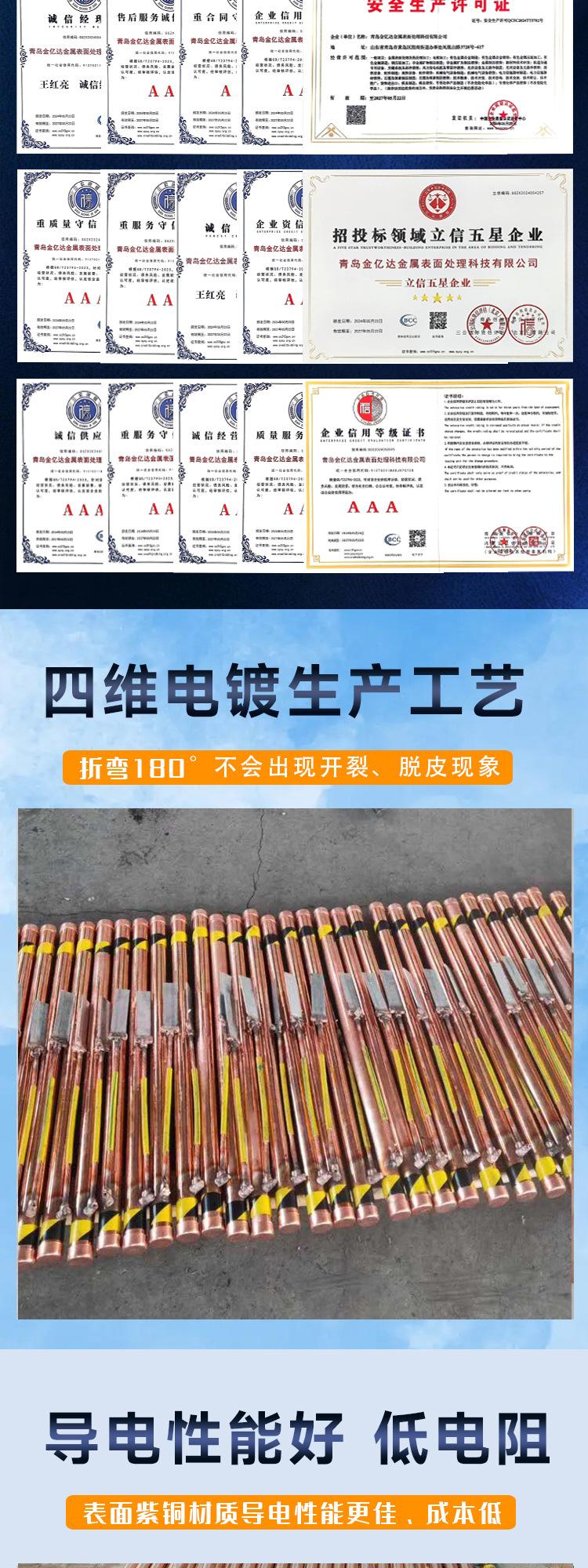 离子接地极01