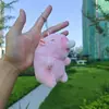 Muñeco de peluche de delfín inflable de burbuja de celebridad de internet colgante kappibala regalo de descompresión llavero al por mayor puesto de máquina de muñecas