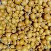 Calabazas Suaves Bellamente Elaboradas para Manipular y Coleccionar, Calabazas de Piel Morada con Pátina, Calabazas Retorcidas a Mano, Artículos de Mano, Calabazas para Vendedores Ambulantes al por Mayor