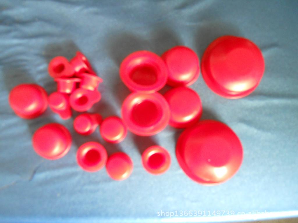 DSCN0963
