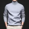 Tejidos de punto de alta gama para primavera y otoño para hombre 2025 Nuevos tejidos de punto cálidos con cuello alto casual, suaves y amigables con la piel, forrados de felpa para hombre