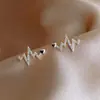 Pendientes de Electrocardiograma de Venta Caliente Transfronterizos, Cobre Ecológico, Pendientes Sencillos de Estilo Corazón Nicho, Lujo Ligero, Pendientes Versátiles