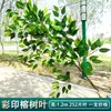 Ramas de Árbol de Simulación Enverdecimiento Hojas de Árbol Falsas Decoración de Ingeniería de Jardín Accesorios para Actuaciones de Árbol Grande Hojas de Higuera Recubiertas de Pegamento Rama de Paisajismo
