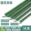 Hastes de suporte para suportes de flores, varas para feijão, treliças para vegetais, hastes de suporte para treliças de pepino e uva, tubos de aço revestidos, fornecimento atacadista de fábrica