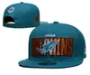 Gorra NFL 2025, gorra de béisbol, gorra de visera plana bordada, gorra de protección solar, visera grande, letras en inglés, visera ancha