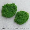 Grama de Musgo Biónica Artificial Musgo Falso Micro Paisagismo Decoração Gramado Bonsai Plantado em Vaso Pavimentação Paisagismo