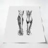 Pintura Sem Moldura de Órgãos Corporais da Amazon para Sala de Estar, Estudo, Academia, Impressão em Tela, Pintura Decorativa, Arte de Parede Pintada com Spray