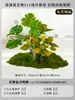 Cenário de Musgo Atmosfera de Primavera Arranjo Plantas de Musgo Artificiais Decoração Paisagem Parte Inferior de Escada Interna Gramado Biomórfico