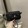 Bolso de Hombro Cruzado Versátil de Moda de Lujo de Nicho de Alto Valor con Estampado de Moño Tendencia Otoño 2026