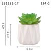 Planta Suculenta Simulada Macetas, Decoración de Muebles de Oficina Nórdicos, Nuevas Suculentas Bonsái Simuladas de Alta Calidad para el Hogar