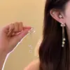 Brincos de tarraxa super etéreos, elegantes e de alta qualidade com zircônia microincrustada para mulheres, design de nicho, brincos de franja longa, brincos de luxo leve atacado