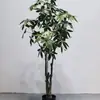Venta al por mayor de fábrica árbol de la fortuna de simulación árbol falso planta de simulación planta verde de sentido avanzado decoración de hogar hotel flores artificiales