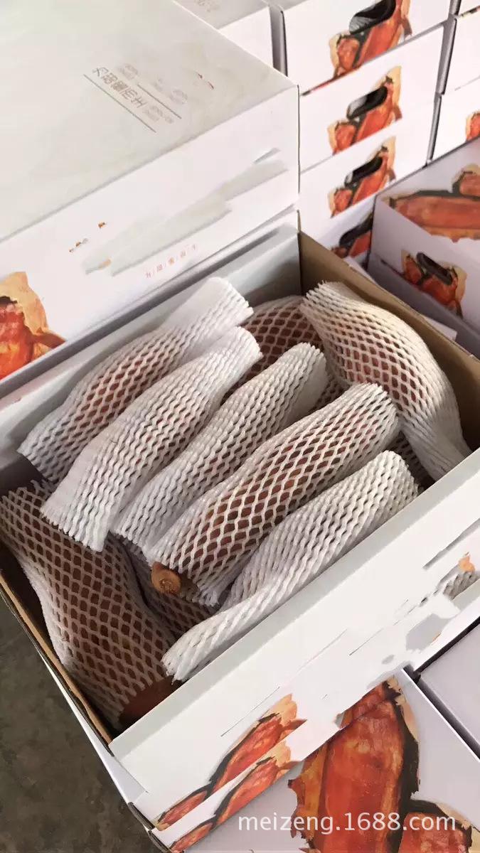 水果泡沫网套 (9)