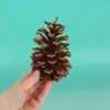 Decoraciones Navideñas de Piña Transfronterizas, Adornos Creativos, Accesorios para Fotografía, Venta al por Mayor de Piñas Navideñas