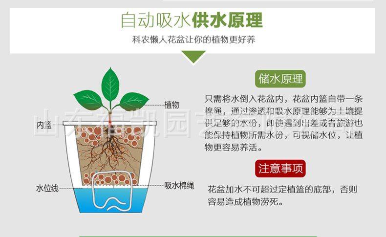 风情款详情页_05