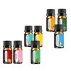 Óleo Essencial Aromaterapia Solúvel em Água Ponto de Fábrica 10ml Purificador de Ar Aromaterapia Umidificador Difusor Fragrância de Longa Duração