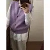 Elegante Chaleco Chaqueta de Punto Suave con Cuello Redondo para Mujer, Nuevo Estilo de Principios de Primavera, Chaleco Cárdigan de Suéter de Alta Gama