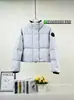 Jaqueta grande de penugem de ganso, estilo curto, para outono e inverno, projetada para exportação, casaco puffer curto feminino, gola alta, à prova de vento, espessado, disponível para fornecimento em massa