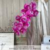 9 Piezas de Película Phalaenopsis Flores Artificiales Simuladas Flores de Seda Auditorio de Bodas Fila de Flores Decoración Floral Adornos de Sala de Estar de Alta Gama