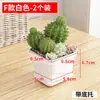 Macetas Rectangulares de Plástico Especiales para Jardinería en Balcones del Hogar y Cultivo de Verduras, Macetas Estrechas para Alféizar de Ventana