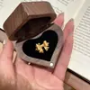 Nuevo Anillo de Lazo Cepillado Starlight para Mujer, Dulce y Único, Moderno, Sencillo, Versátil, Anillo Ajustable, Regalo para Novia