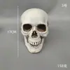 Modelo de Caveira Realista para Halloween em Vários Tamanhos, Adereços de Decoração de Terror para Casa Assombrada e Sala de Fuga, Decorações de Cena