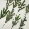 Agujas de Pino Simuladas Suministro Transfronterizo Plantas Verdes Accesorios para Arreglos Florales Ramas de Navidad Decoración de Interiores Rama Única Artificial