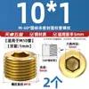 Estándar nacional latón puro todo cobre enchufe tapón de cabeza hexagonal tapón métrico británico y americano tapón de aceite tapón de tubería exterior 1 punto 2 puntos 3 puntos 4 puntos