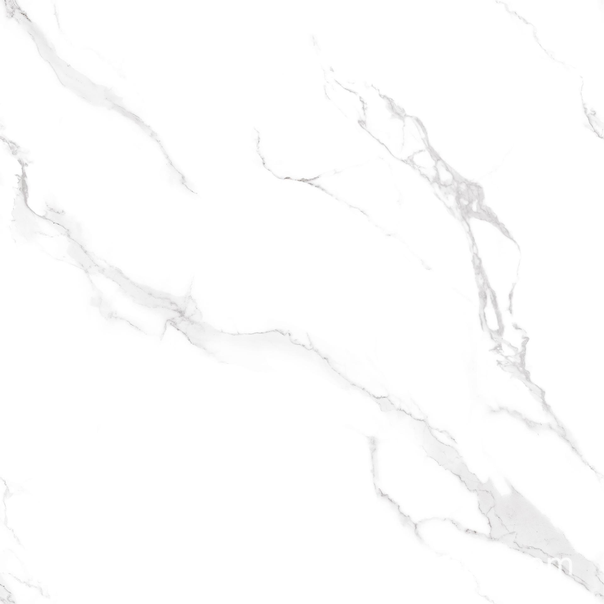 TX80833.jpg