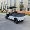 Carro de golf eléctrico 2-4-6 asientos parque atracción turística vehículo turístico comercio exterior carro de golf todoterreno