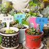 La segunda generación marca de flores etiqueta de plástico suculenta inserto de jardinería marca etiqueta de plástico etiqueta de jardinería en forma de T flores